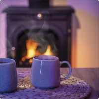 AGNI 7 kW cast iron wood stove
