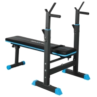 THUNDER MONET training bench with stands