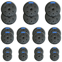 Zestaw obciążeń bitumicznych marki THUNDER 6x 5 kg + 8x 2,5 kg + 8x 1,25 kg