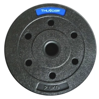 Zestaw obciążeń bitumicznych marki THUNDER 2x 5 kg + 4x 2,5 kg + 8x 1,25 kg