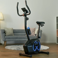THUNDER ZIGGS upright bike