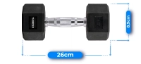 Hexagonal dumbbell THUNDER 5 kg