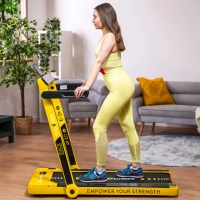 THUNDER RACE-GOLD electric treadmill