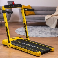 THUNDER RACE-GOLD electric treadmill