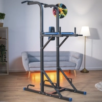 THUNDER WINGS training bars with pull-up bar