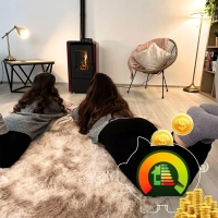 LEYLA RED 6.3 kW pellet stove