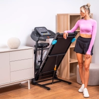 THUNDER ICON-BLUE electric treadmill