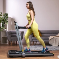 THUNDER IMPACT-SILVER electric treadmill