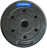 Zestaw obciążeń bitumicznych marki THUNDER 2x 5 kg + 4x 2,5 kg + 8x 1,25 kg
