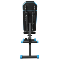THUNDER WOXIC folding training bench