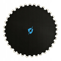 Trampoline jumping mat 10FT blue by THUNDER